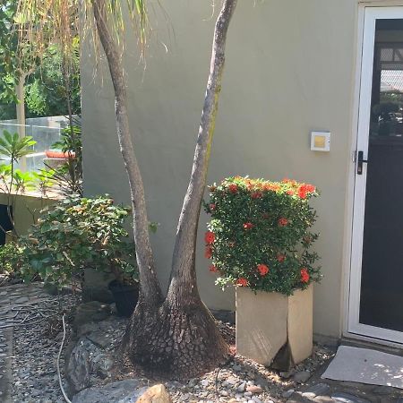 Beachfront Dolphin Cabin Oak Beach 외부 사진