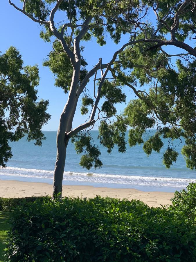 Beachfront Dolphin Cabin Oak Beach 외부 사진
